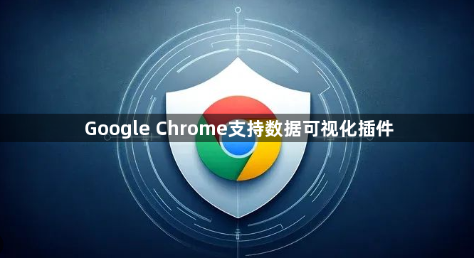 Google Chrome支持数据可视化插件