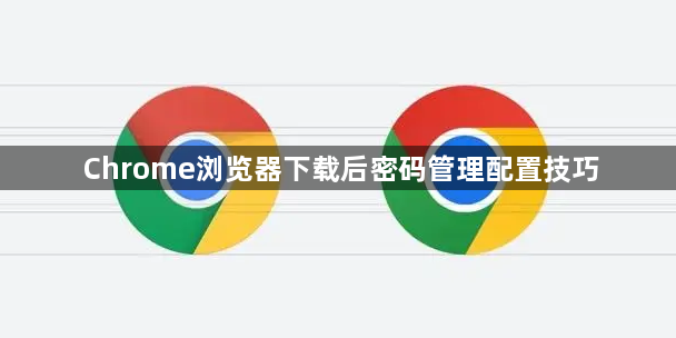 Chrome浏览器下载后密码管理配置技巧
