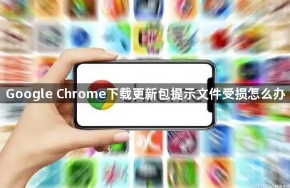 Google Chrome下载更新包提示文件受损怎么办