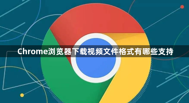 Chrome浏览器下载视频文件格式有哪些支持