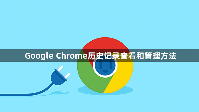 Google Chrome历史记录查看和管理方法