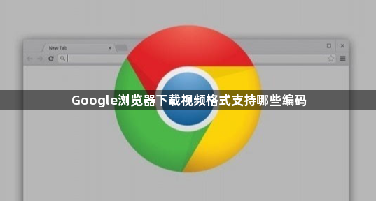 Google浏览器下载视频格式支持哪些编码
