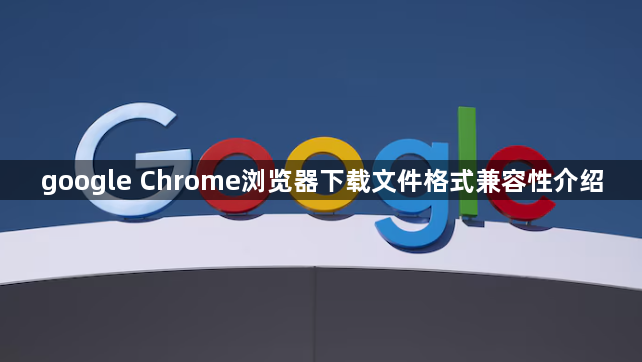google Chrome浏览器下载文件格式兼容性介绍