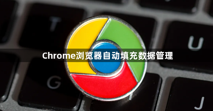 Chrome浏览器自动填充数据管理