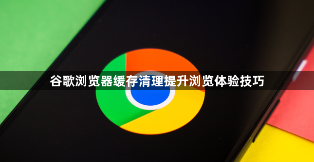 谷歌浏览器缓存清理提升浏览体验技巧
