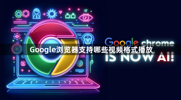 Google浏览器支持哪些视频格式播放