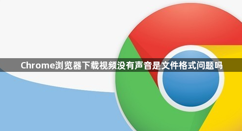 Chrome浏览器下载视频没有声音是文件格式问题吗