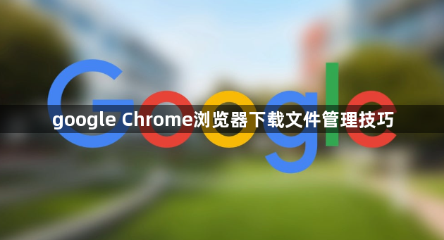 google Chrome浏览器下载文件管理技巧