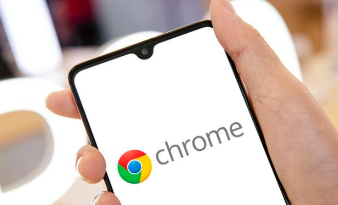 Chrome浏览器离线包获取与安全验证方法