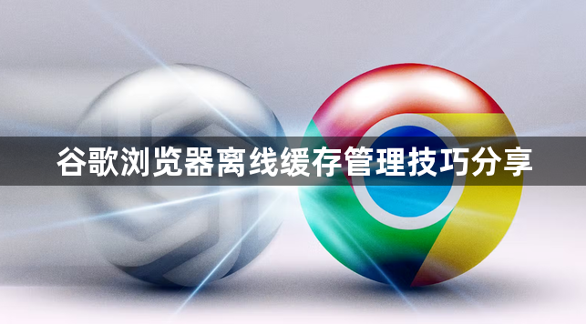 谷歌浏览器离线缓存管理技巧分享