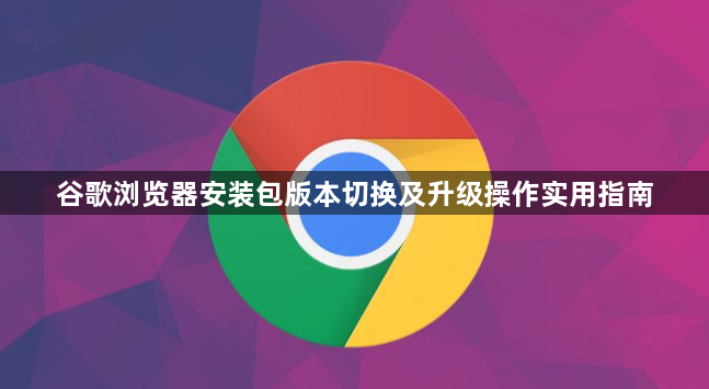 谷歌浏览器安装包版本切换及升级操作实用指南