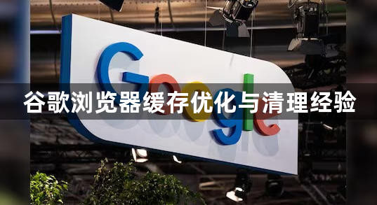 谷歌浏览器缓存优化与清理经验