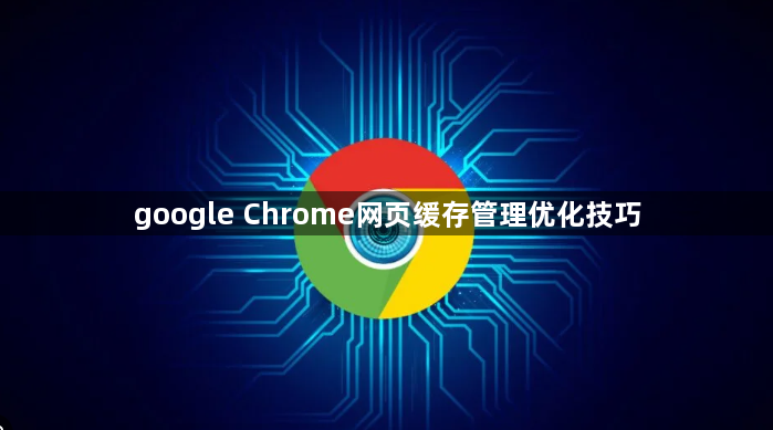 google Chrome网页缓存管理优化技巧1