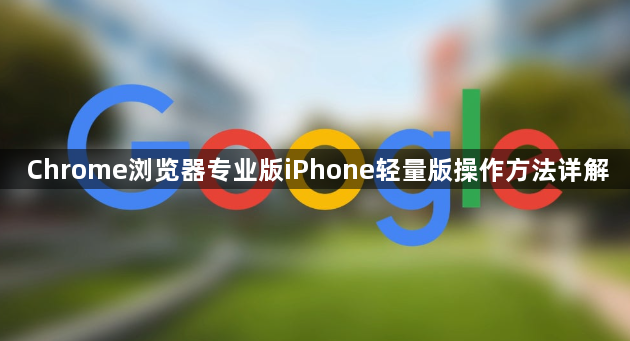 Chrome浏览器专业版iPhone轻量版操作方法详解1
