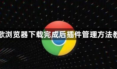 谷歌浏览器下载完成后插件管理方法教程1