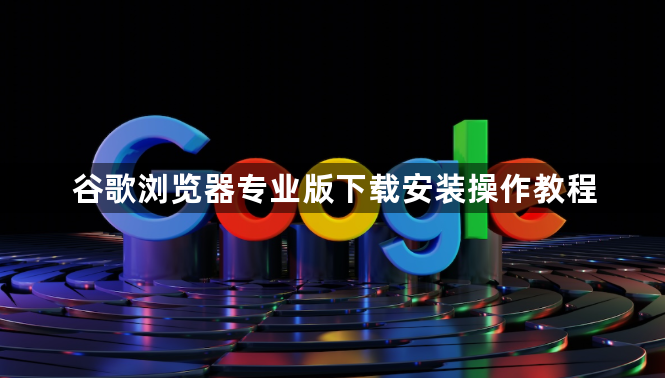 谷歌浏览器专业版下载安装操作教程1