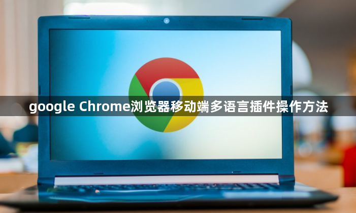 google Chrome浏览器移动端多语言插件操作方法1