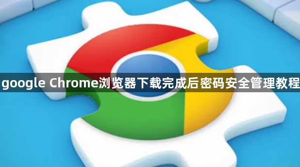 google Chrome浏览器下载完成后密码安全管理教程1